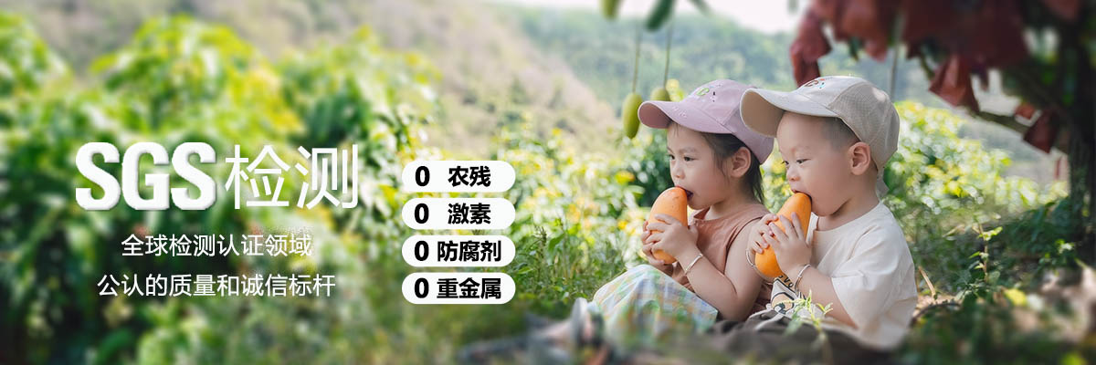 让孩子放心吃的安全食品